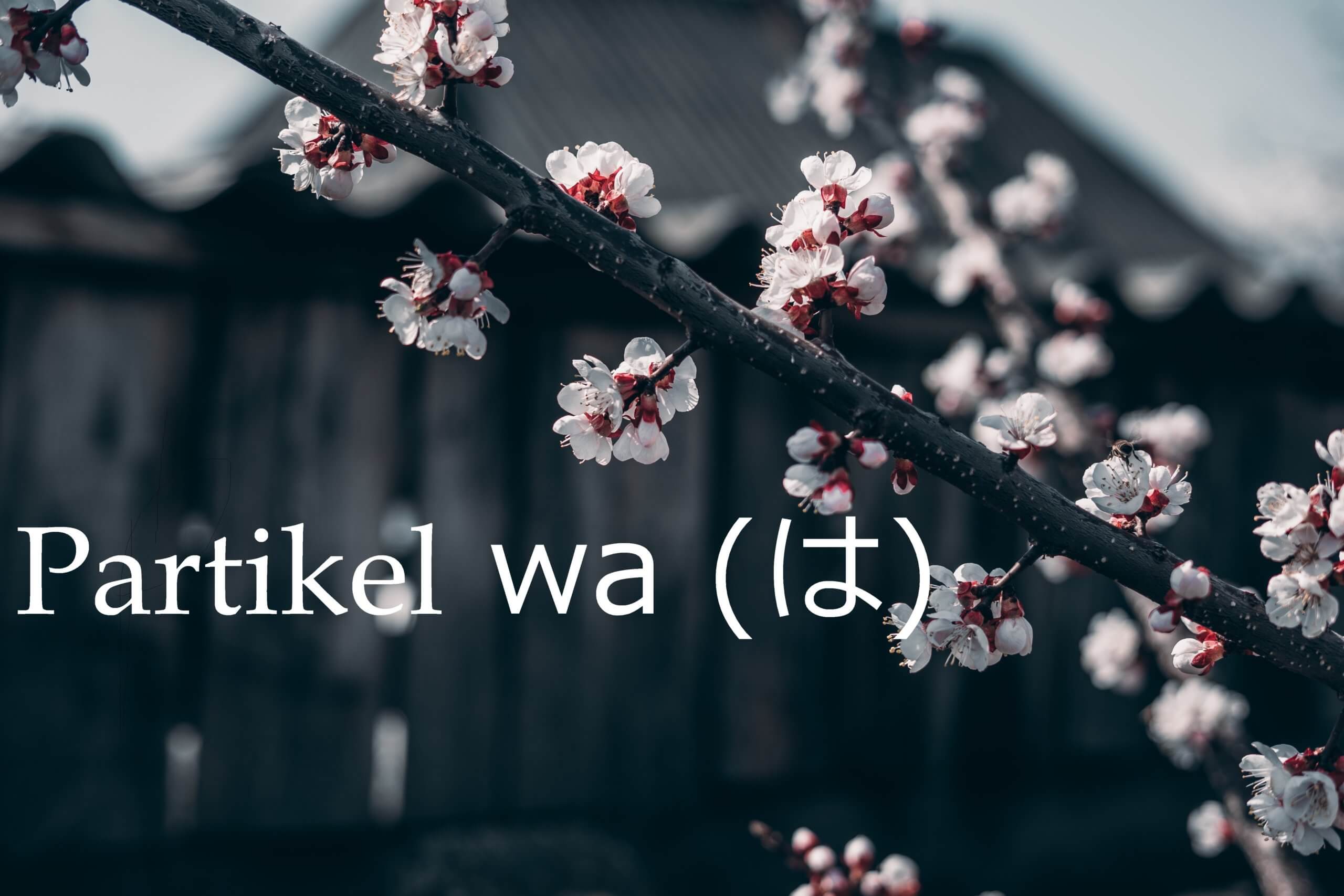 Partikel “wa” (Penanda Subjek) – Belajar Bahasa Jepang