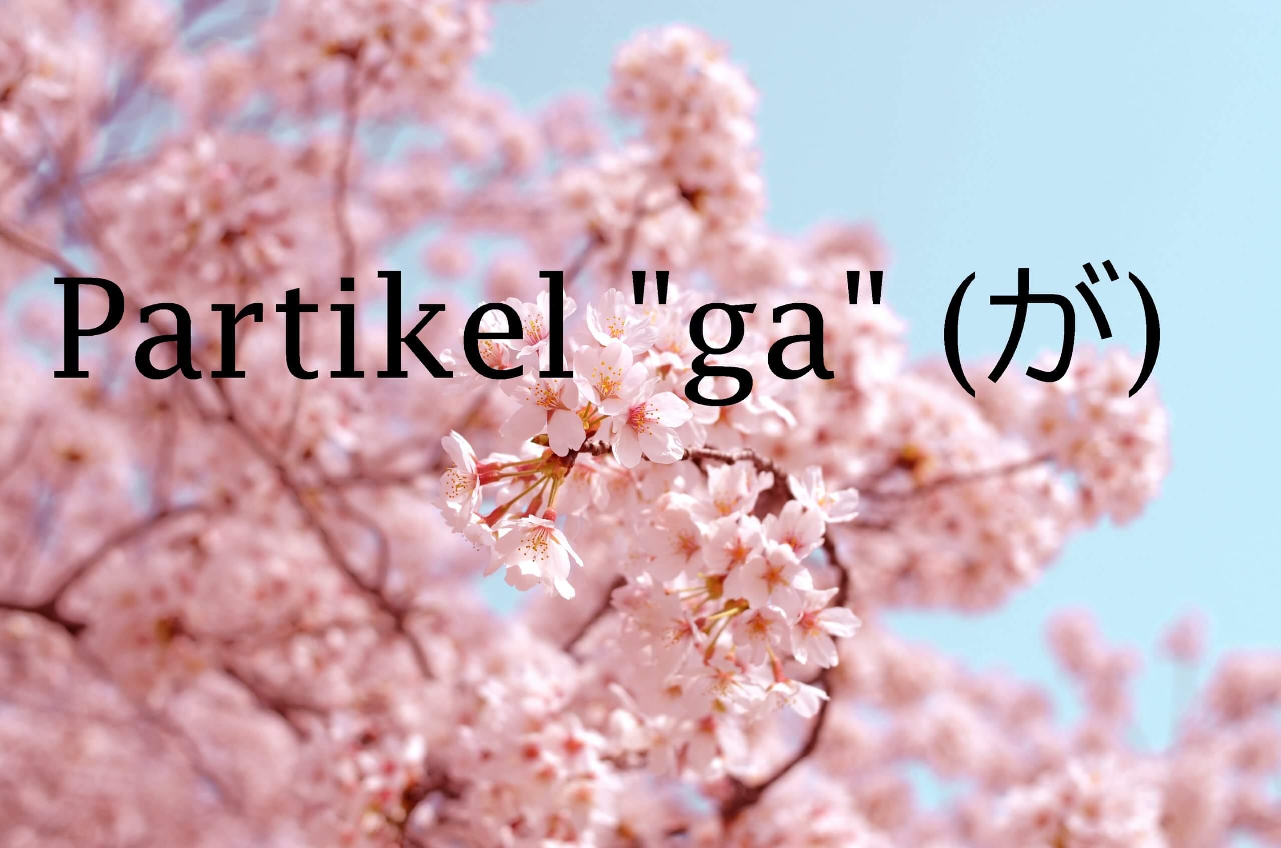 Partikel “ga” – Belajar Bahasa Jepang