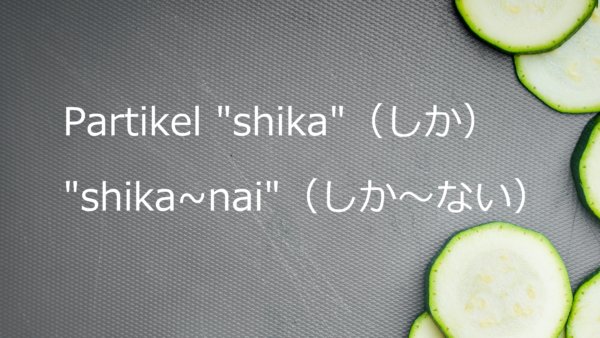Partikel “shika” – Belajar Bahasa Jepang