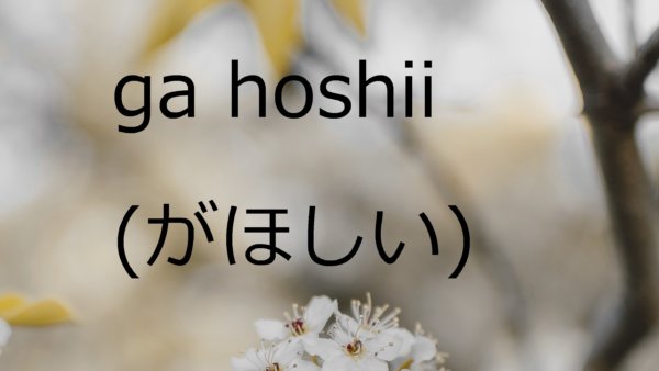 Ga Hoshii (Menginginkan) – Belajar Bahasa Jepang